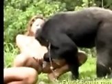 Chimp gets two wet pussies to choose from