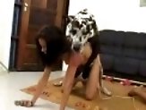Girl’s horny dog finally gets satisfied